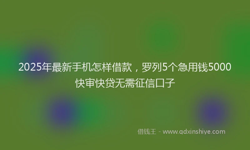 2025年最新手机怎样借款，罗列5个急用钱5000快审快贷无需征信口子