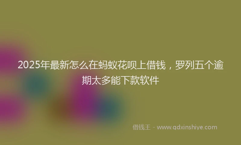 2025年最新怎么在蚂蚁花呗上借钱，罗列五个逾期太多能下款软件