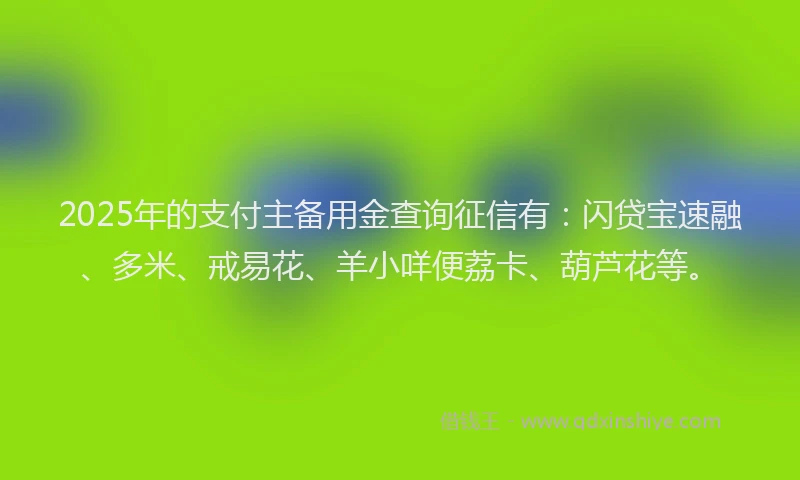 2025年的支付主备用金查询征信有：闪贷宝速融、多米、戒易花、羊小咩便荔卡、葫芦花等。