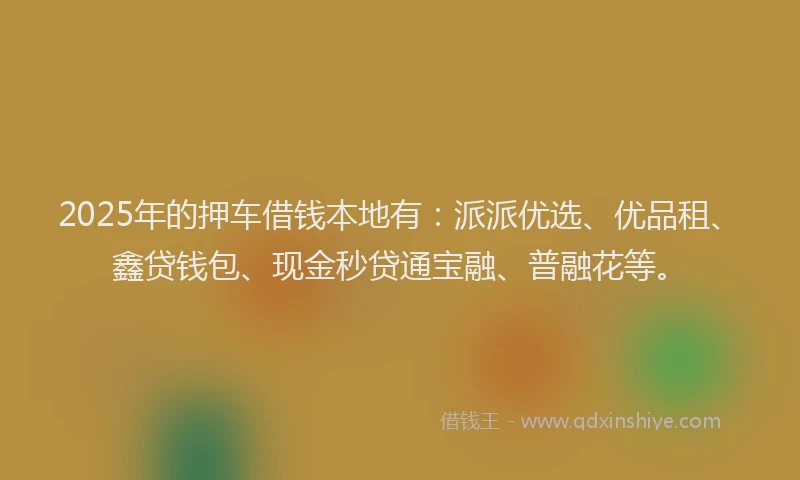 2025年的押车借钱本地有：派派优选、优品租、鑫贷钱包、现金秒贷通宝融、普融花等。