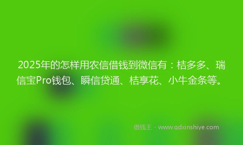 2025年的怎样用农信借钱到微信有：桔多多、瑞信宝Pro钱包、瞬信贷通、桔享花、小牛金条等。
