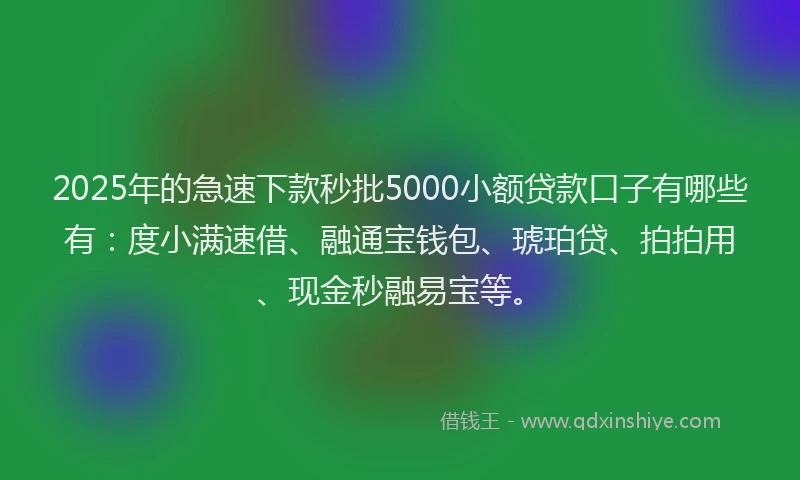 2025年的急速下款秒批5000小额贷款口子有哪些有：度小满速借、融通宝钱包、琥珀贷、拍拍用、现金秒融易宝等。