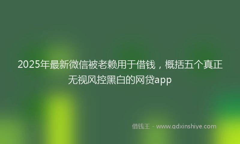 2025年最新微信被老赖用于借钱，概括五个真正无视风控黑白的网贷app