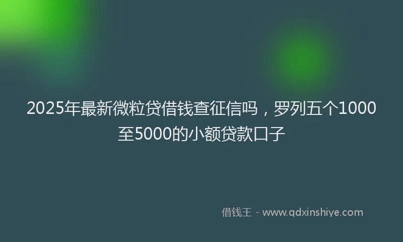 2025年最新微粒贷借钱查征信吗，罗列五个1000至5000的小额贷款口子