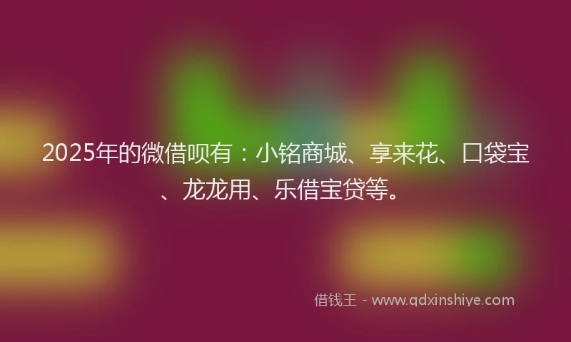 2025年的微借呗有：小铭商城、享来花、口袋宝、龙龙用、乐借宝贷等。