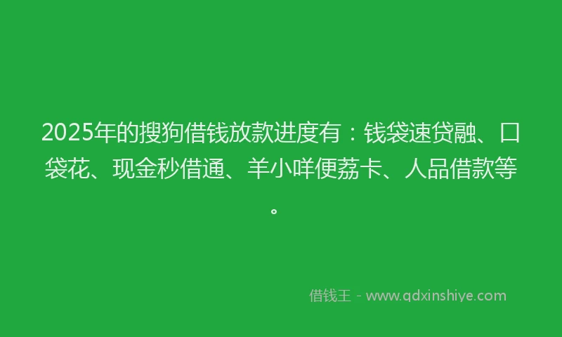 2025年的搜狗借钱放款进度有：钱袋速贷融、口袋花、现金秒借通、羊小咩便荔卡、人品借款等。