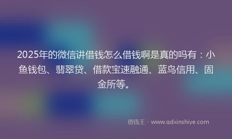 2025年的微信讲借钱怎么借钱啊是真的吗有：小鱼钱包、翡翠贷、借款宝速融通、蓝鸟信用、固金所等。