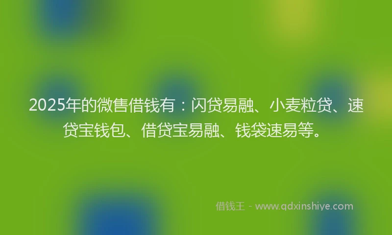 2025年的微售借钱有：闪贷易融、小麦粒贷、速贷宝钱包、借贷宝易融、钱袋速易等。