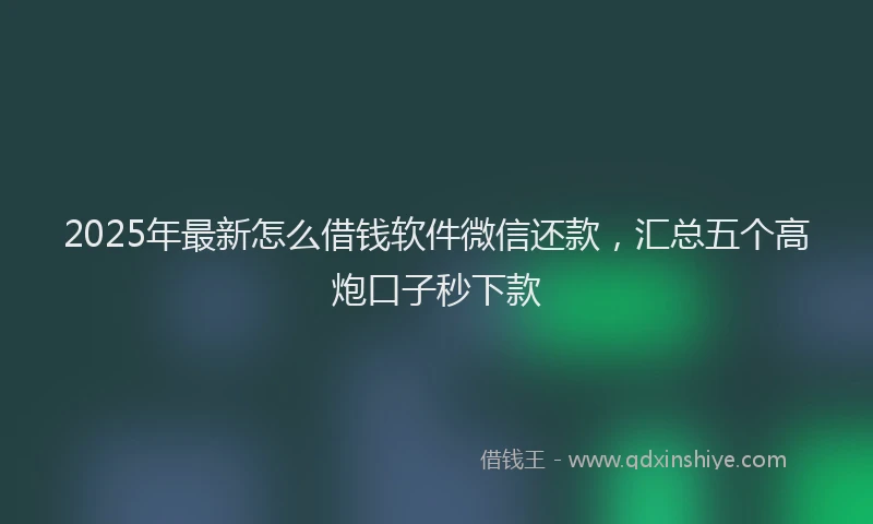 2025年最新怎么借钱软件微信还款，汇总五个高炮口子秒下款