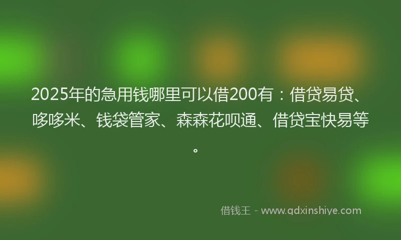2025年的急用钱哪里可以借200有：借贷易贷、哆哆米、钱袋管家、森森花呗通、借贷宝快易等。