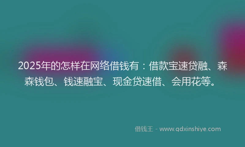 2025年的怎样在网络借钱有：借款宝速贷融、森森钱包、钱速融宝、现金贷速借、会用花等。