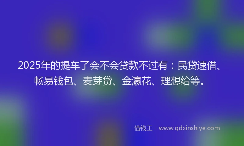 2025年的提车了会不会贷款不过有：民贷速借、畅易钱包、麦芽贷、金瀛花、理想给等。