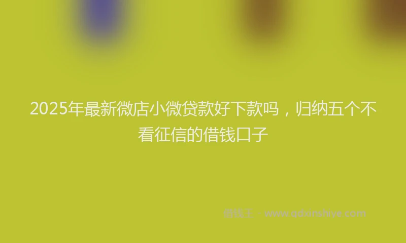 2025年最新微店小微贷款好下款吗，归纳五个不看征信的借钱口子