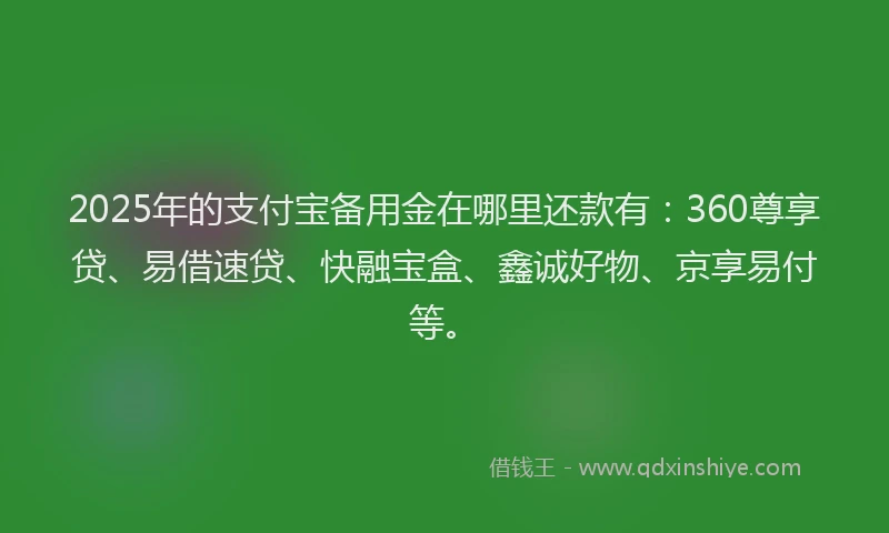 2025年的支付宝备用金在哪里还款有：360尊享贷、易借速贷、快融宝盒、鑫诚好物、京享易付等。