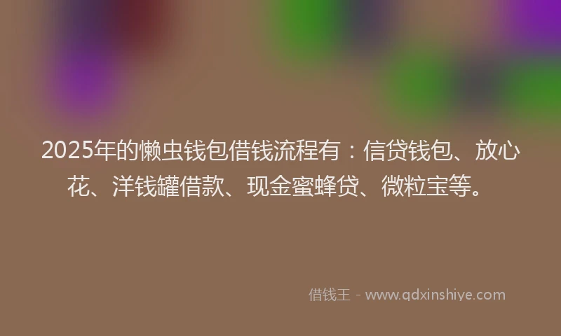 2025年的懒虫钱包借钱流程有：信贷钱包、放心花、洋钱罐借款、现金蜜蜂贷、微粒宝等。