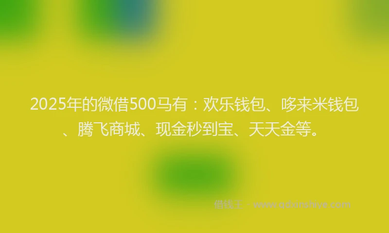2025年的微借500马有：欢乐钱包、哆来米钱包、腾飞商城、现金秒到宝、天天金等。