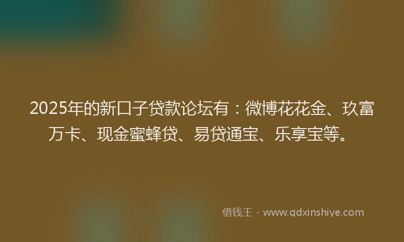 2025年的新口子贷款论坛有：微博花花金、玖富万卡、现金蜜蜂贷、易贷通宝、乐享宝等。