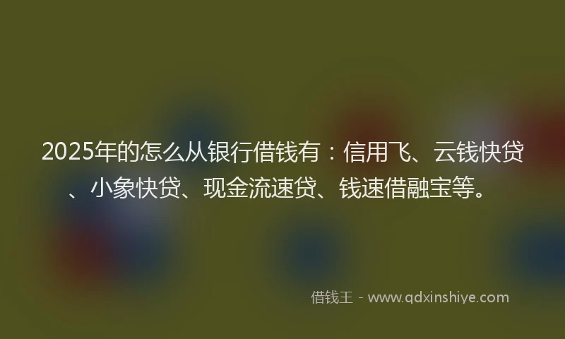 2025年的怎么从银行借钱有：信用飞、云钱快贷、小象快贷、现金流速贷、钱速借融宝等。