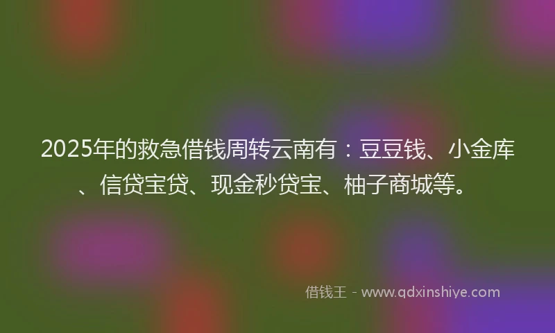 2025年的救急借钱周转云南有：豆豆钱、小金库、信贷宝贷、现金秒贷宝、柚子商城等。