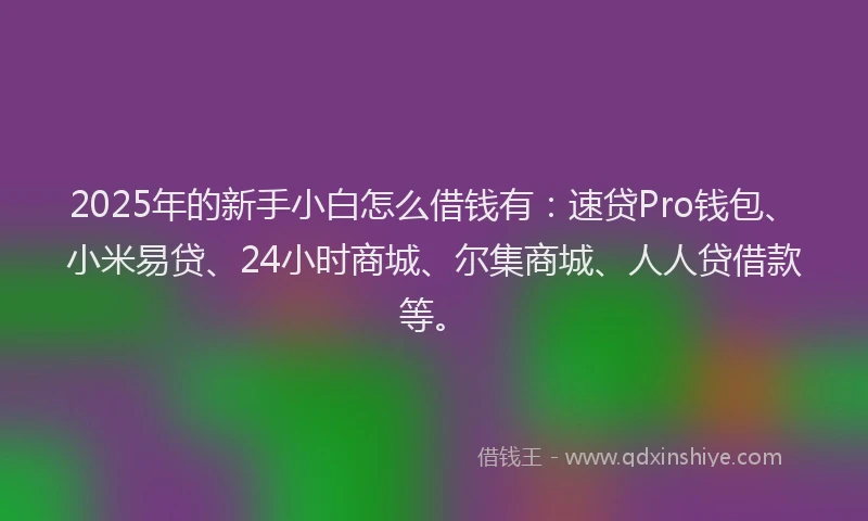 2025年的新手小白怎么借钱有：速贷Pro钱包、小米易贷、24小时商城、尔集商城、人人贷借款等。