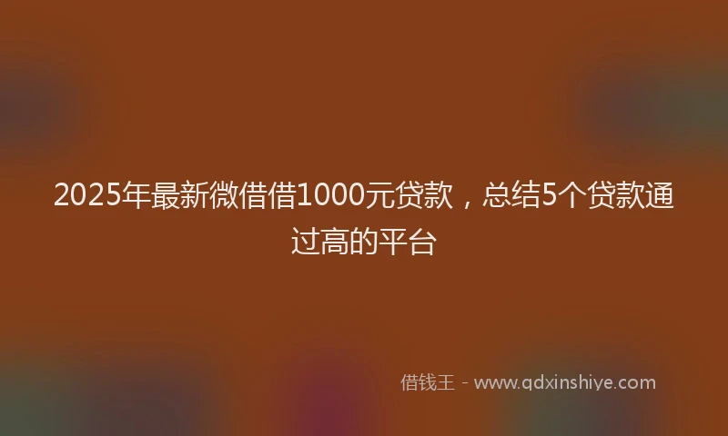 2025年最新微借借1000元贷款，总结5个贷款通过高的平台