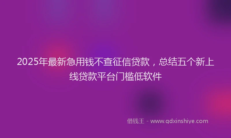 2025年最新急用钱不查征信贷款，总结五个新上线贷款平台门槛低软件