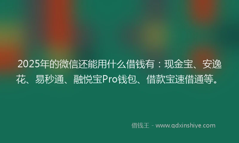 2025年的微信还能用什么借钱有：现金宝、安逸花、易秒通、融悦宝Pro钱包、借款宝速借通等。