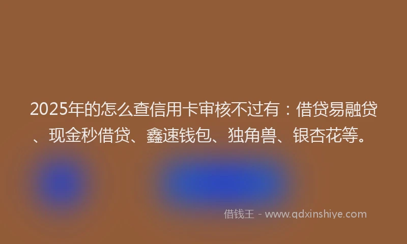 2025年的怎么查信用卡审核不过有：借贷易融贷、现金秒借贷、鑫速钱包、独角兽、银杏花等。