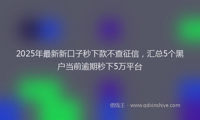 2025年最新新口子秒下款不查征信，汇总5个黑户当前逾期秒下5万平台