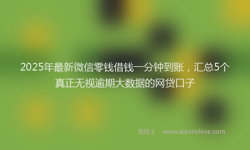 2025年最新微信零钱借钱一分钟到账，汇总5个真正无视逾期大数据的网贷口子