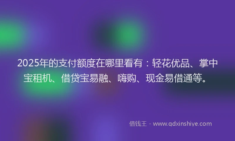 2025年的支付额度在哪里看有：轻花优品、掌中宝租机、借贷宝易融、嗨购、现金易借通等。