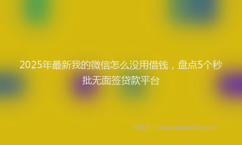 2025年最新我的微信怎么没用借钱，盘点5个秒批无面签贷款平台