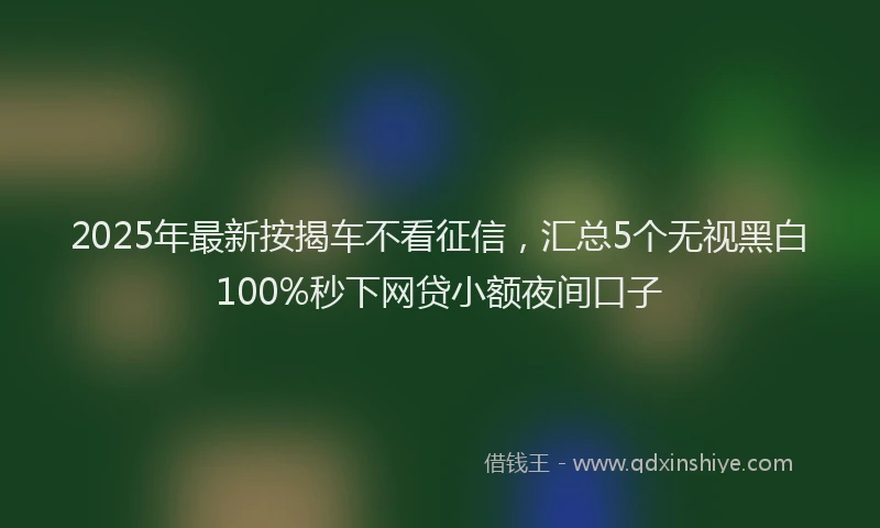 2025年最新按揭车不看征信，汇总5个无视黑白100%秒下网贷小额夜间口子