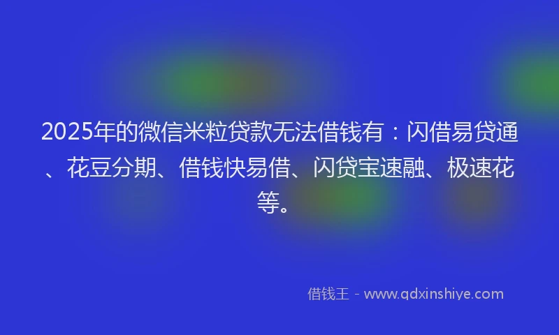 2025年的微信米粒贷款无法借钱有：闪借易贷通、花豆分期、借钱快易借、闪贷宝速融、极速花等。