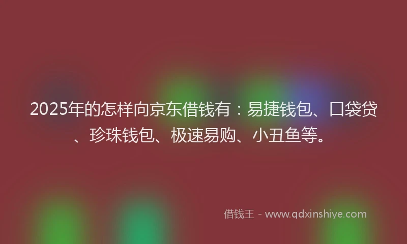 2025年的怎样向京东借钱有：易捷钱包、口袋贷、珍珠钱包、极速易购、小丑鱼等。