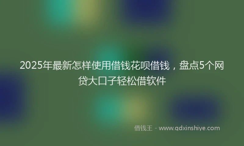 2025年最新怎样使用借钱花呗借钱，盘点5个网贷大口子轻松借软件