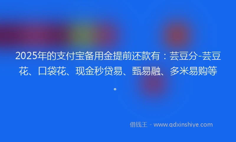 2025年的支付宝备用金提前还款有：芸豆分-芸豆花、口袋花、现金秒贷易、甄易融、多米易购等。