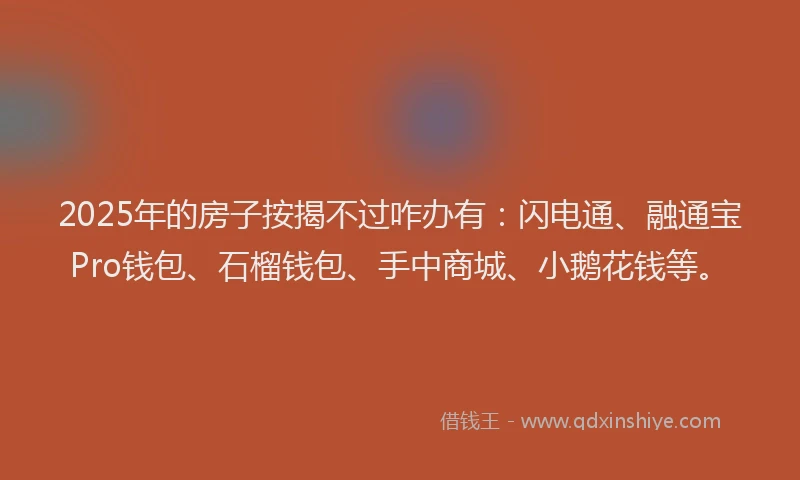 2025年的房子按揭不过咋办有：闪电通、融通宝Pro钱包、石榴钱包、手中商城、小鹅花钱等。