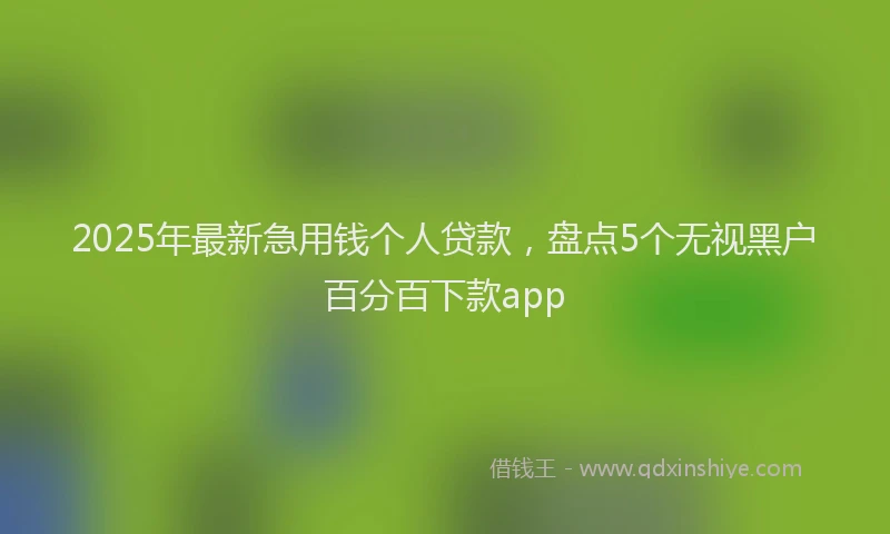 2025年最新急用钱个人贷款，盘点5个无视黑户百分百下款app