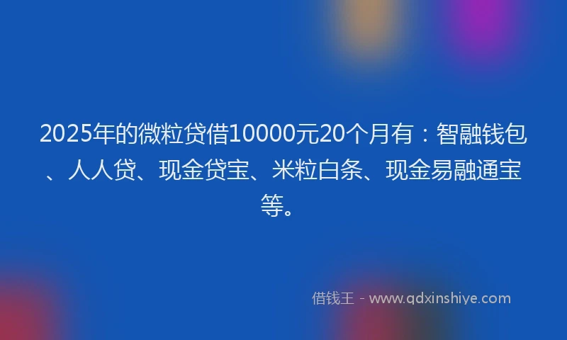 2025年的微粒贷借10000元20个月有：智融钱包、人人贷、现金贷宝、米粒白条、现金易融通宝等。
