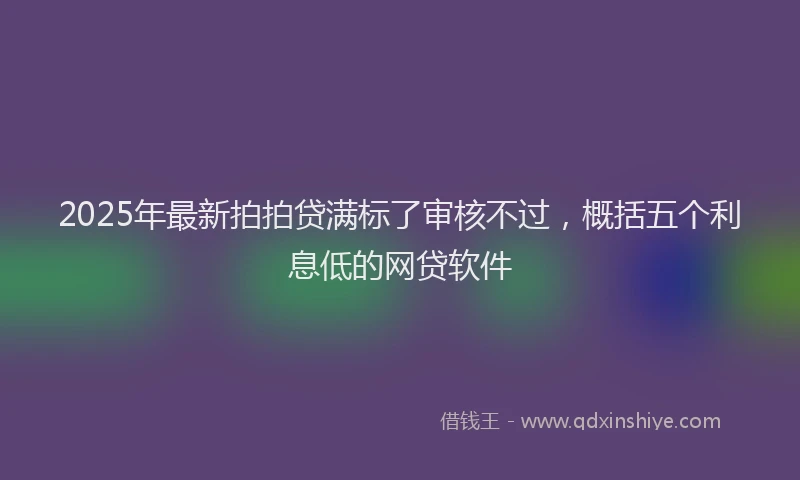 2025年最新拍拍贷满标了审核不过，概括五个利息低的网贷软件