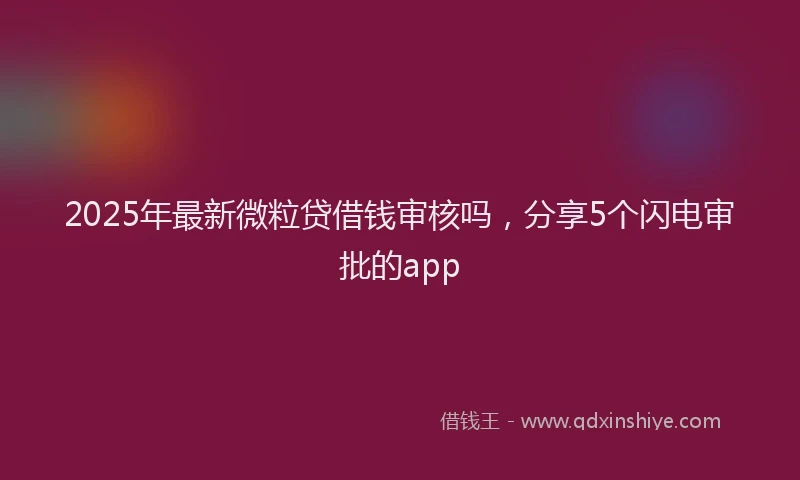 2025年最新微粒贷借钱审核吗，分享5个闪电审批的app