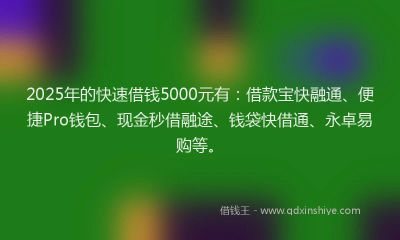 2025年的快速借钱5000元有：借款宝快融通、便捷Pro钱包、现金秒借融途、钱袋快借通、永卓易购等。