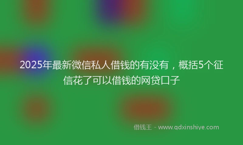 2025年最新微信私人借钱的有没有，概括5个征信花了可以借钱的网贷口子
