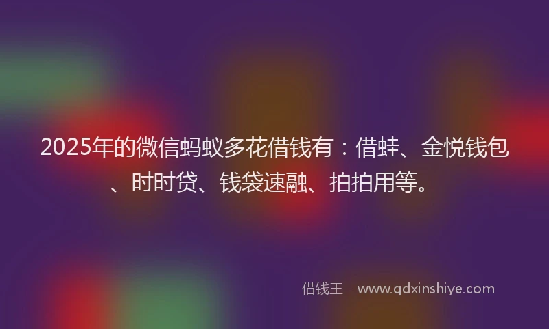 2025年的微信蚂蚁多花借钱有：借蛙、金悦钱包、时时贷、钱袋速融、拍拍用等。