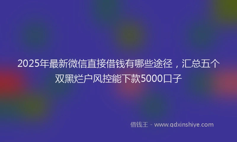 2025年最新微信直接借钱有哪些途径，汇总五个双黑烂户风控能下款5000口子