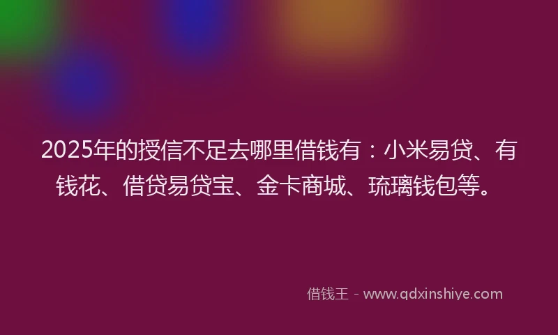 2025年的授信不足去哪里借钱有：小米易贷、有钱花、借贷易贷宝、金卡商城、琉璃钱包等。