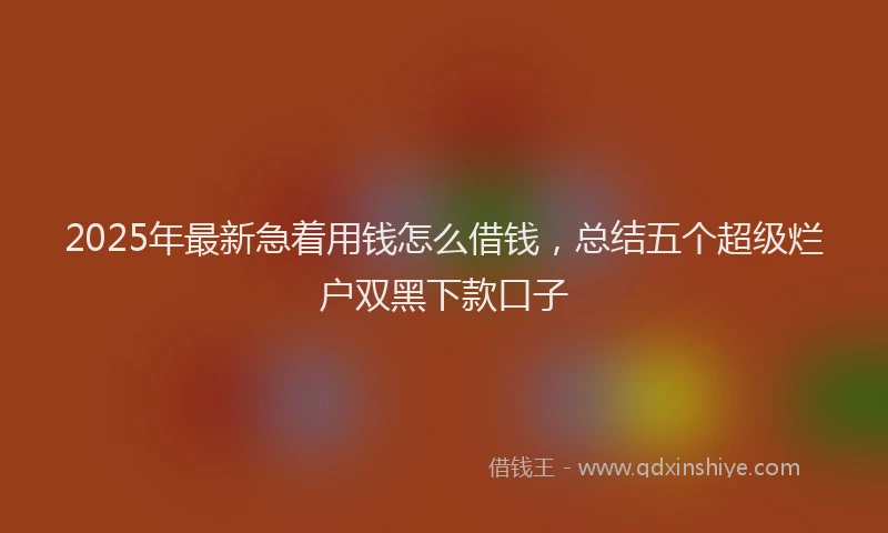 2025年最新急着用钱怎么借钱，总结五个超级烂户双黑下款口子