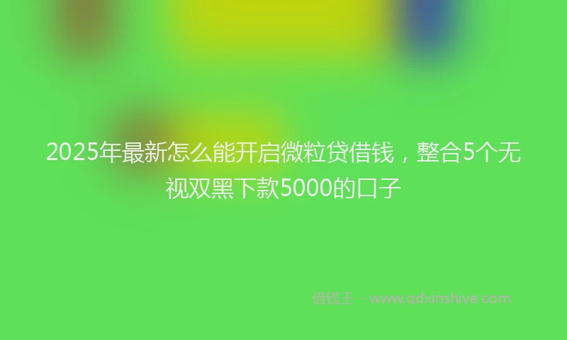 2025年最新怎么能开启微粒贷借钱，整合5个无视双黑下款5000的口子