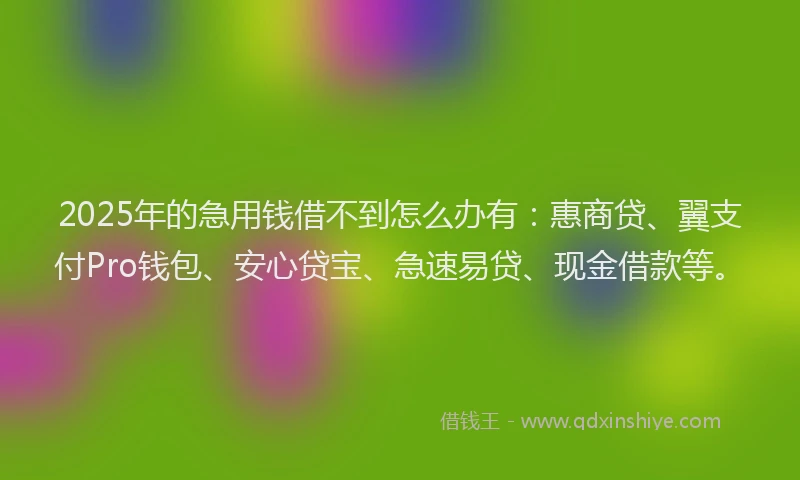 2025年的急用钱借不到怎么办有：惠商贷、翼支付Pro钱包、安心贷宝、急速易贷、现金借款等。